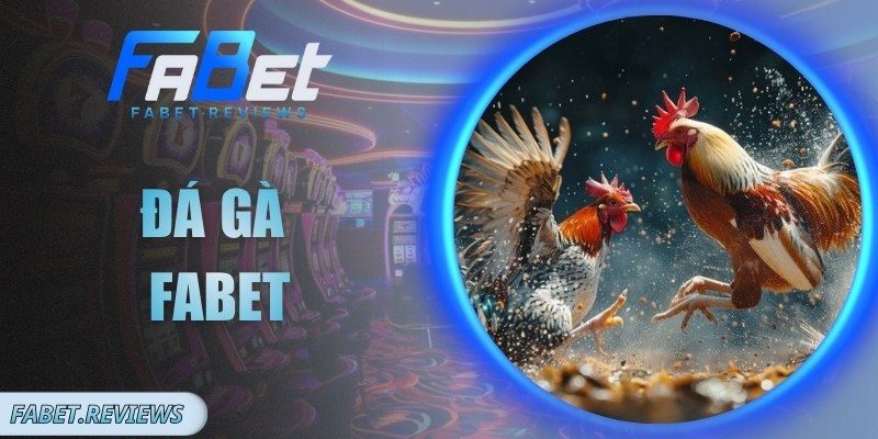 Đá Gà Fabet Có Gì Thú Vị Và Hấp Dẫn Với Các Cược Thủ