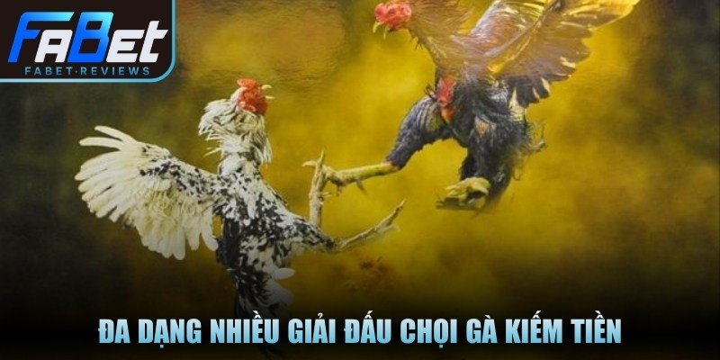 Đa dạng nhiều giải đấu chọi gà kiếm tiền