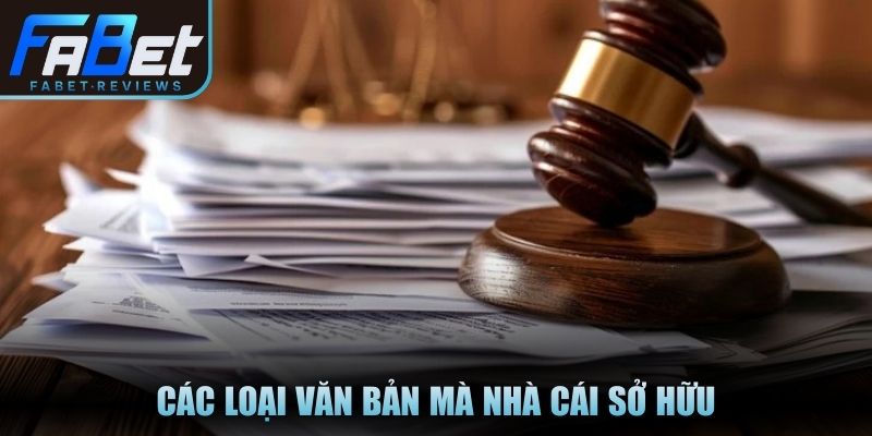 Các loại văn bản mà nhà cái sở hữu