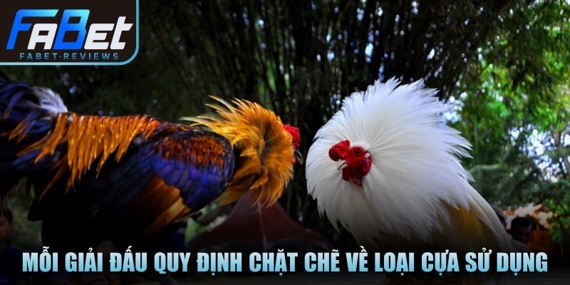 Mỗi giải đấu quy định chặt chẽ về loại cựa sử dụng