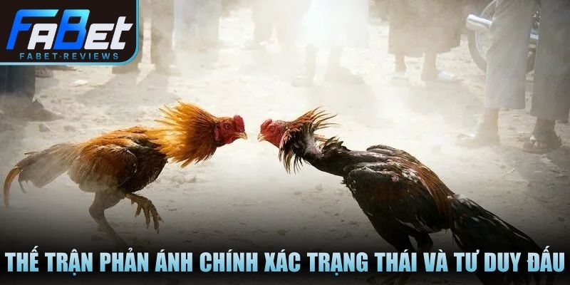 Thế trận phản ánh chính xác trạng thái và tư duy thi đấu